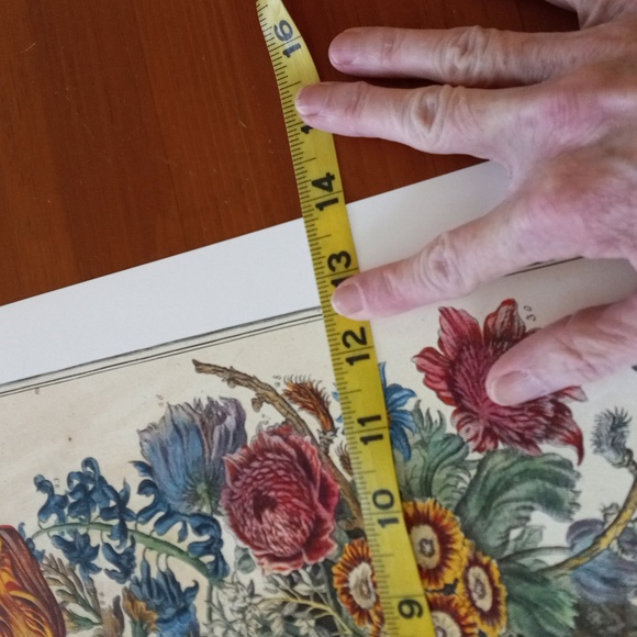 Flowers of the month prints, bundle of August February and October - Picture 8 of 13